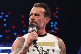 CM Punk