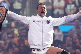 CM Punk