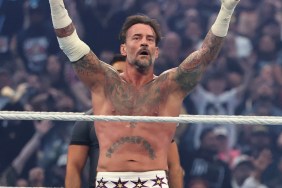 CM Punk