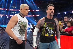 CM Punk Cody Rhodes