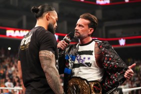 CM Punk Roman Reigns