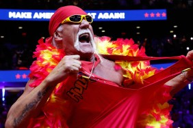 Hulk Hogan