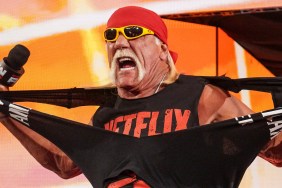 Hulk Hogan