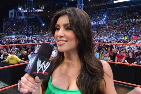 kim kardashian wwe wrestlemania 24