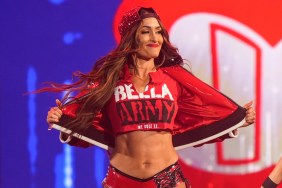 Nikki Bella