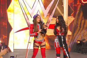 Nikki and Brie Bella at WrestleMania 42