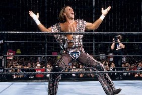shawn michaels brown tights wwe