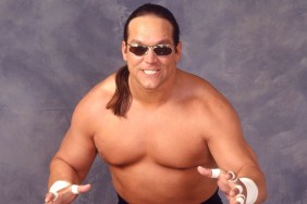 steve mongo mcmichael