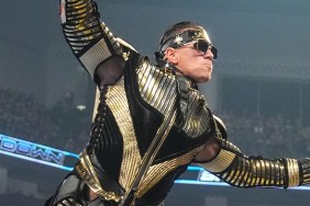 The Miz