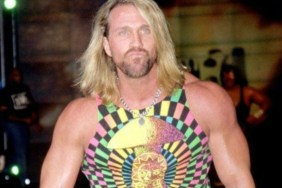 van hammer