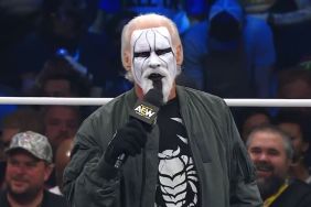 Sting in AEW Dynamite