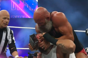 Mark Briscoe Busted Open Cheese Grater