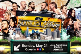 aew double or nothing 2026