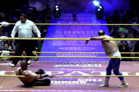 WATCH: Black Cat Runs Through Ring During Live Wrestling Match in Mexico
