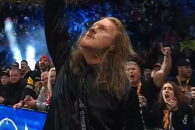 chris jericho aew double or nothing