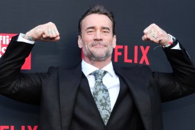 CM Punk
