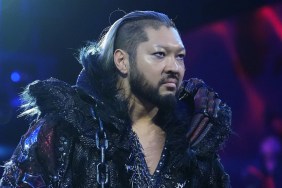 EVIL WWE NXT