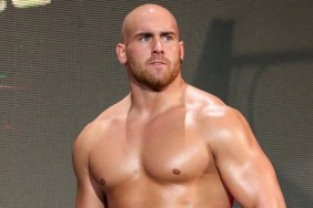 fabian aichner