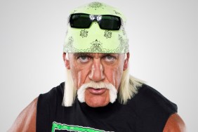 hulk hogan micro championship wrestling