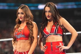 Nikki Bella Brie Bella Twins