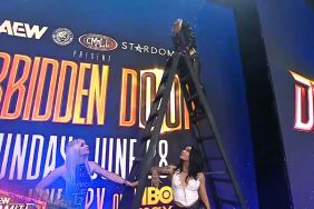 Thekla spitting on STARDOM logo on AEW Dynamite