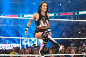 aj lee wwe 2