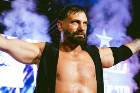 austin aries mlw