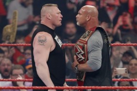 brock lesnar goldberg wwe