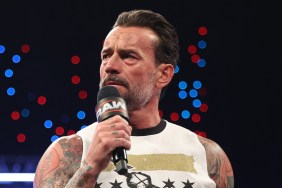 CM Punk