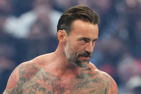 CM Punk