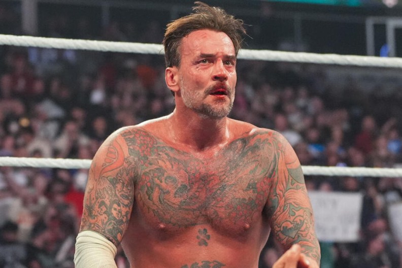 cm punk wwe