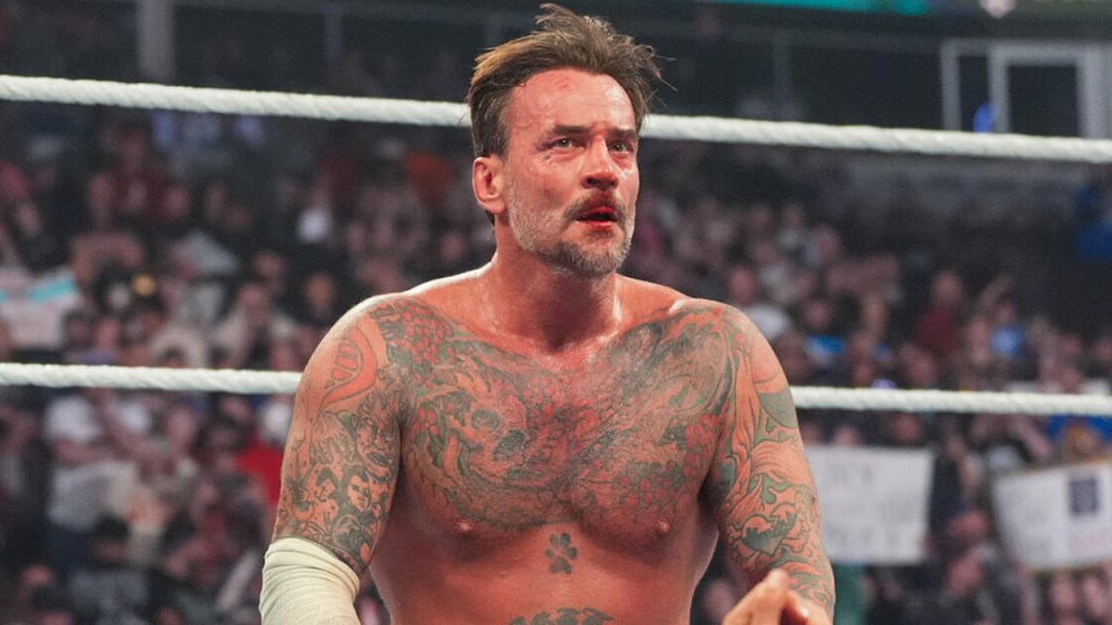 cm punk wwe