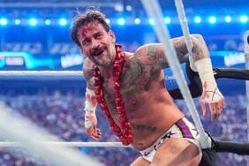 cm punk wwe