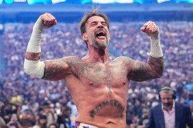 cm punk wwe