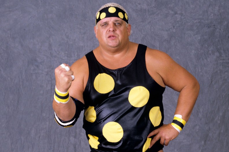 dusty rhodes wwf