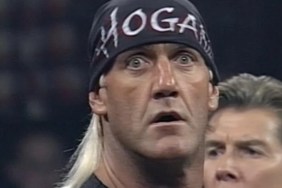 hulk hogan no mustache