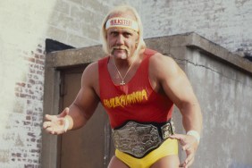 hulk hogan wwe