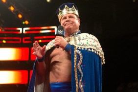 jerry lawler wwe