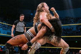 mr elegance lei ying lee tna impact