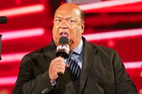 paul heyman wwe