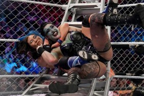 rhea ripley michin wwe survivor series 2022