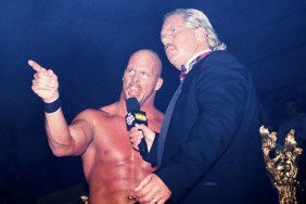 steve austin 316 wwe