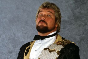 ted dibiase wwe