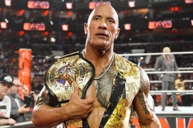 the rock wwe raw