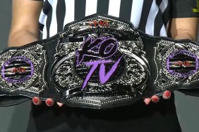 tna knockouts television championship
