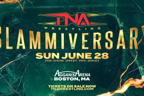 tna slammiversary 2026