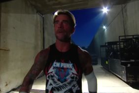 CM Punk returns to WWE RAW