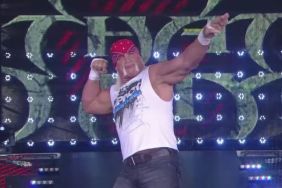 Hulk Hogan on TNA