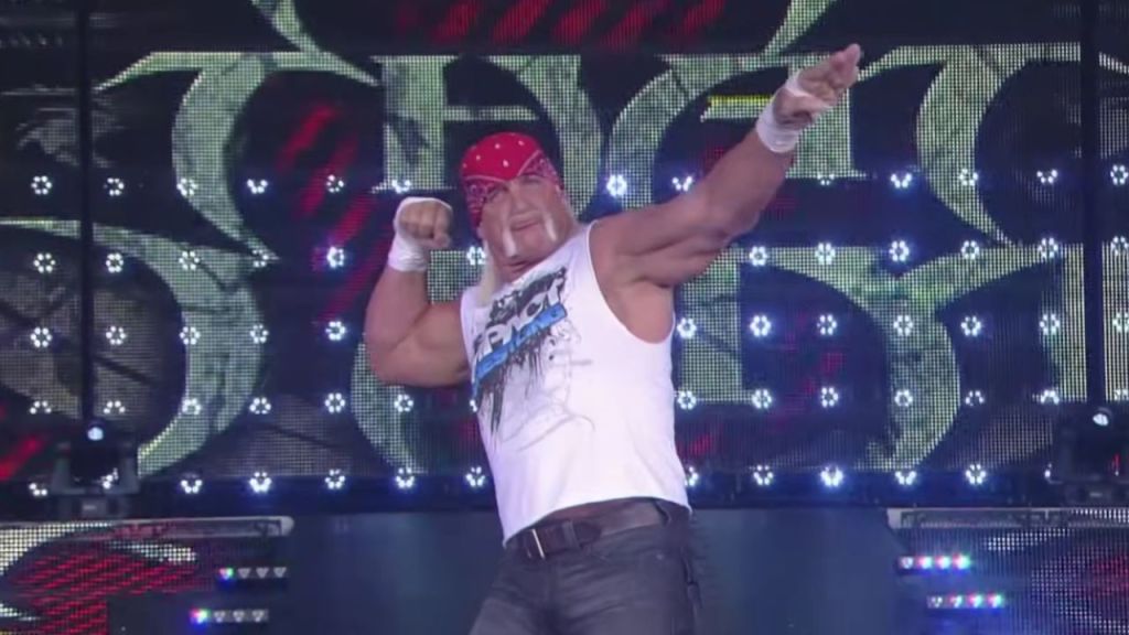 Hulk Hogan on TNA