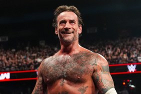 CM Punk